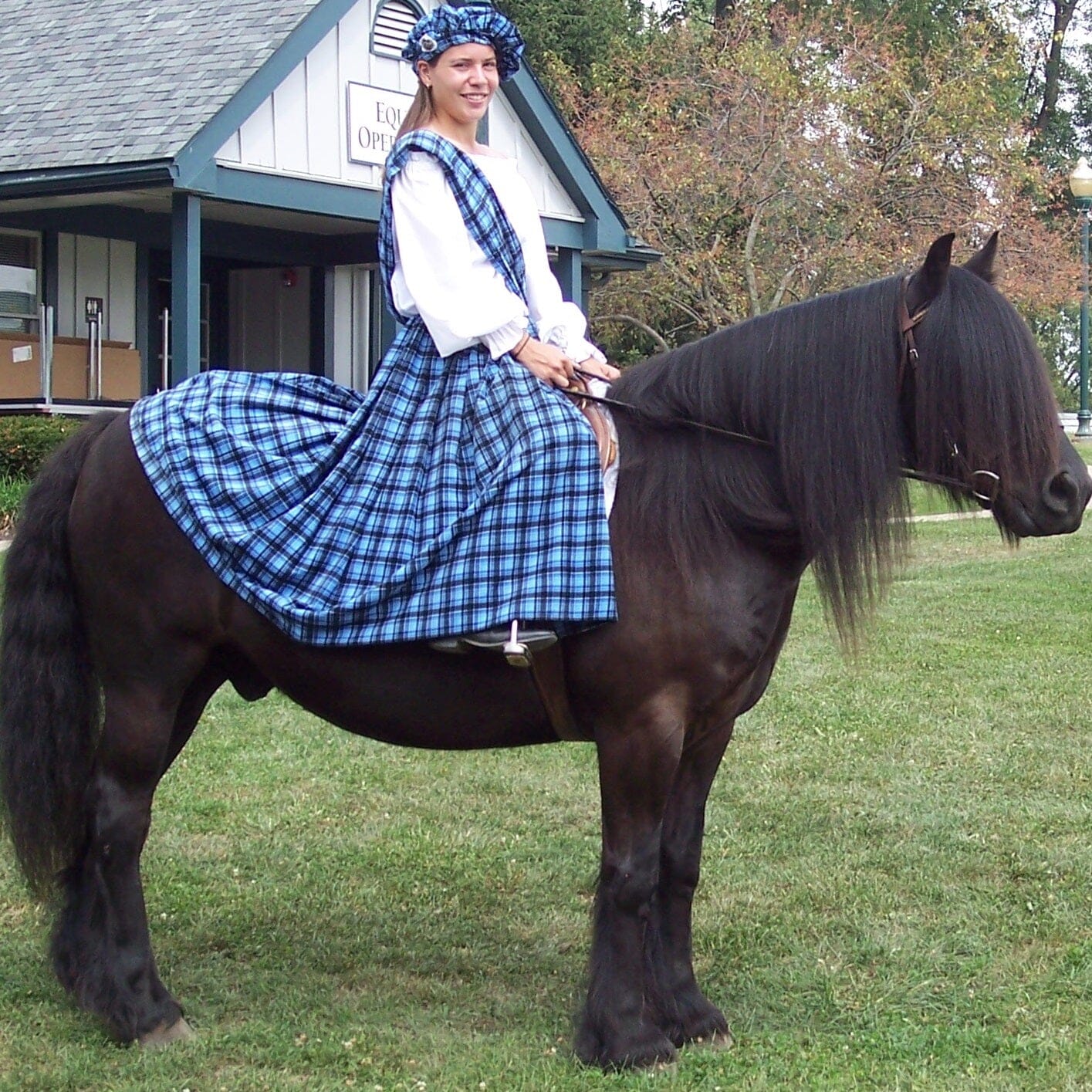 Meet the Fell Pony! — BreyerHorses.com