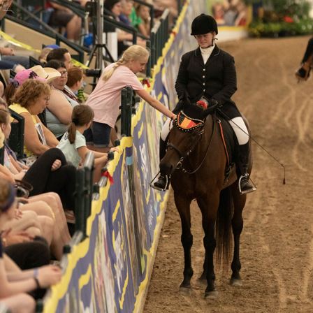 Meet the Ohio Standardbreds & Friends!