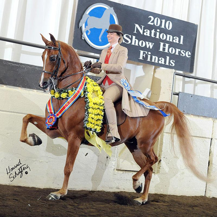 National Show Horse