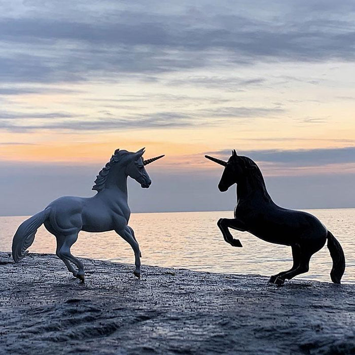 November 2019 Breyer Photo Show Results