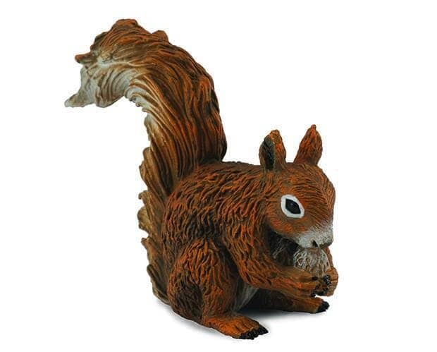 Red Squirrel | Retired