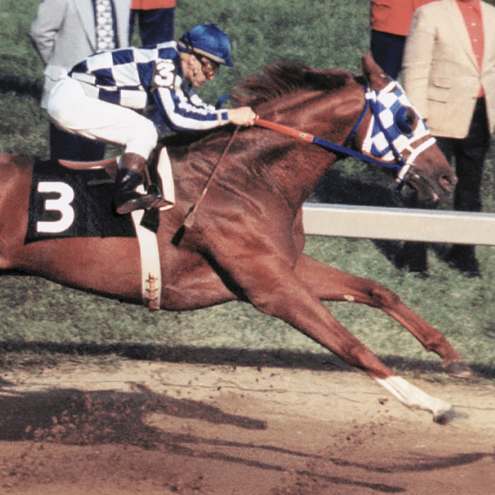 Secretariat