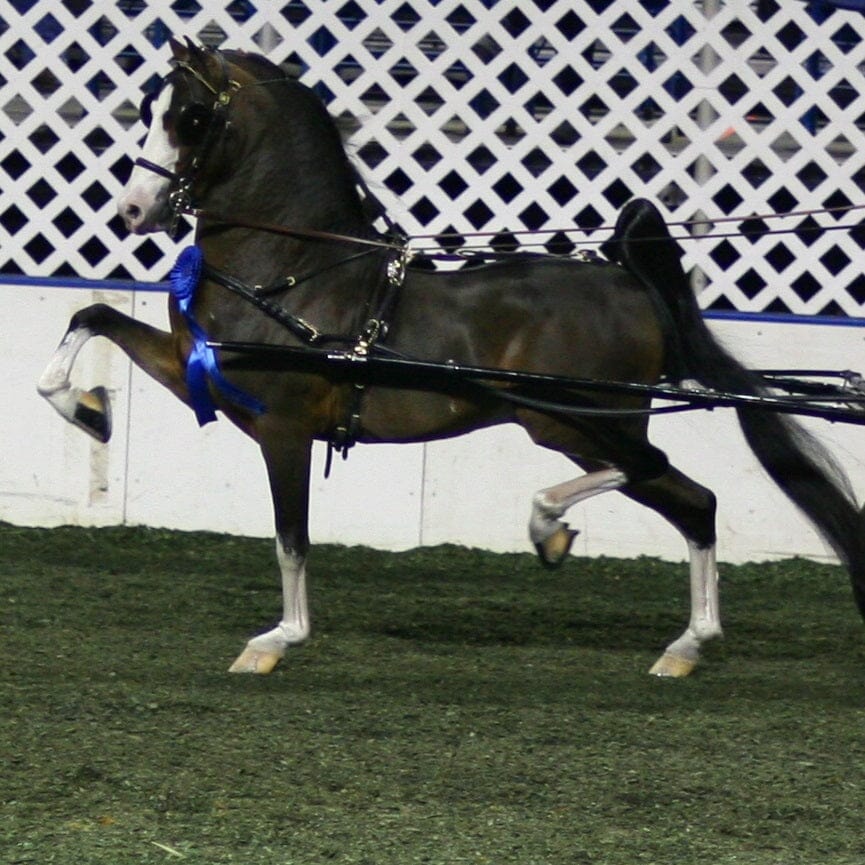 Show Driving!