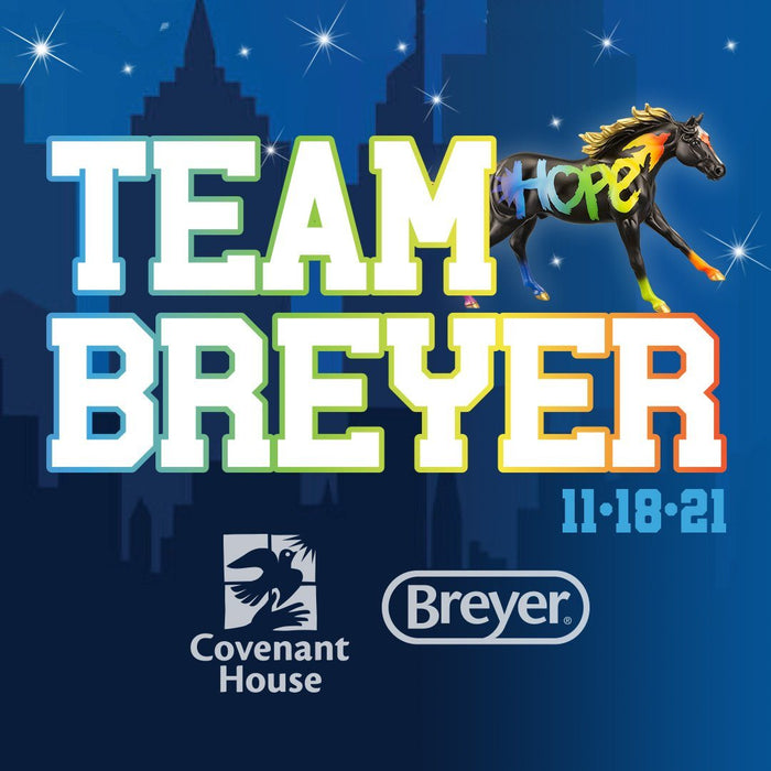 Sleep Out with Team Breyer!