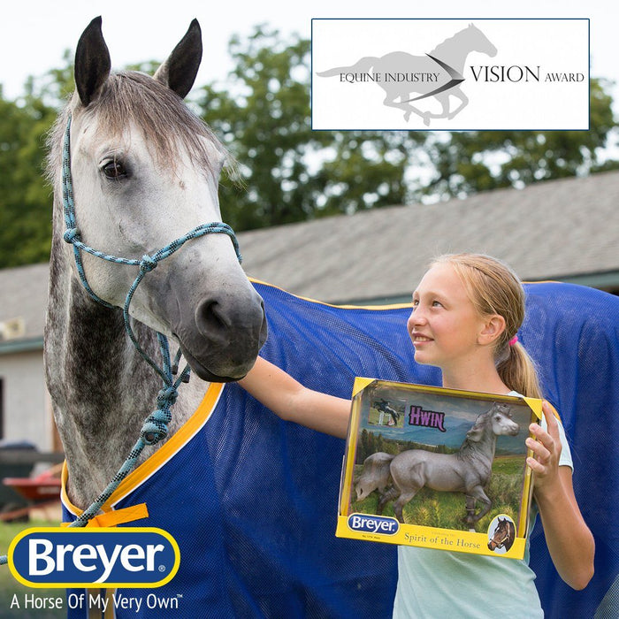 The 2021 Equine Industry Vision Award Goes to Breyer!