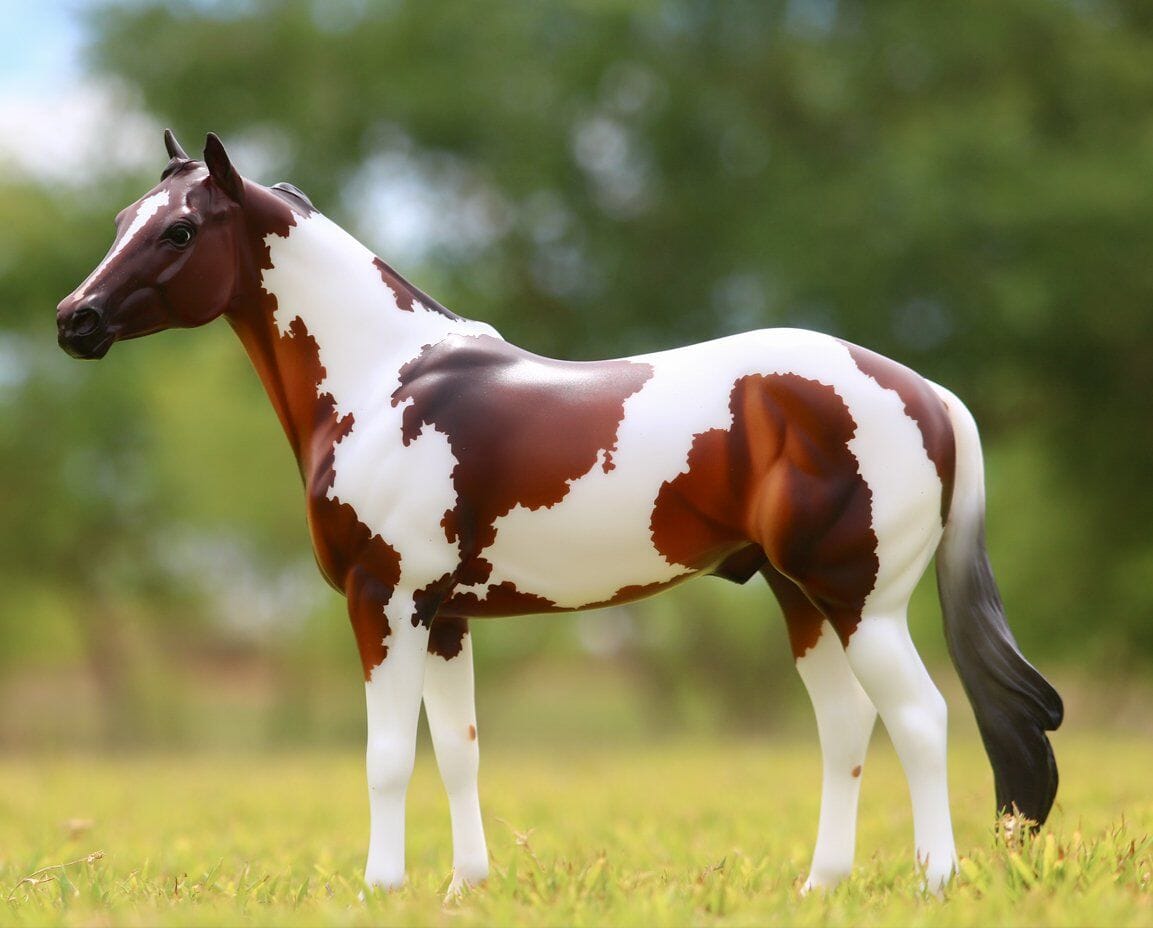 The Ideal Series - American Paint Horse | Retired