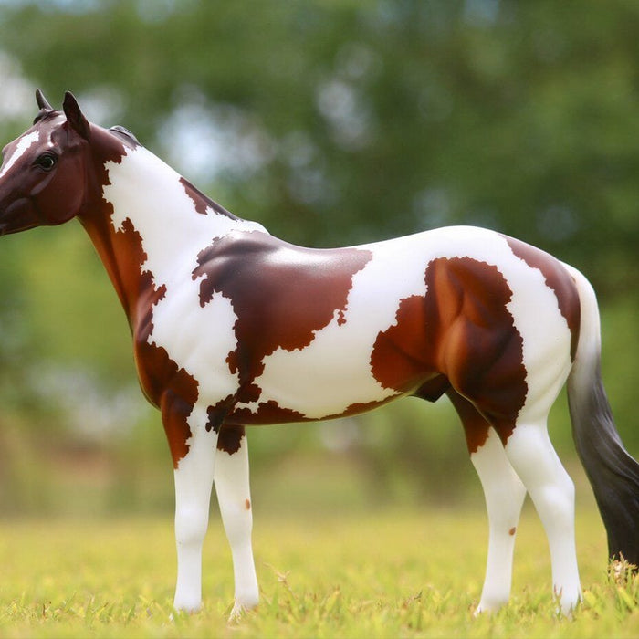 The Ideal Series - American Paint Horse | Retired