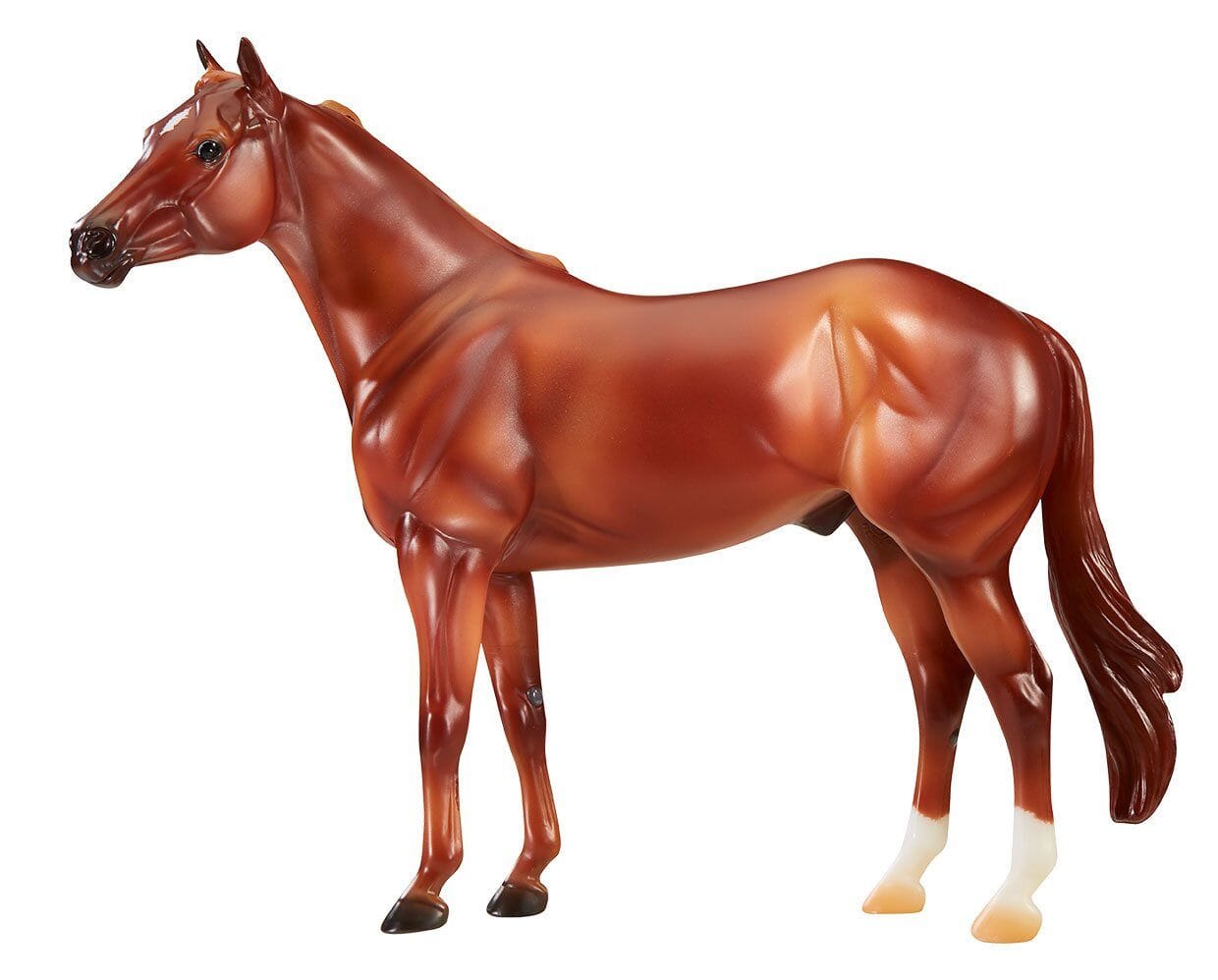 The Ideal Series - American Quarter Horse | Retired