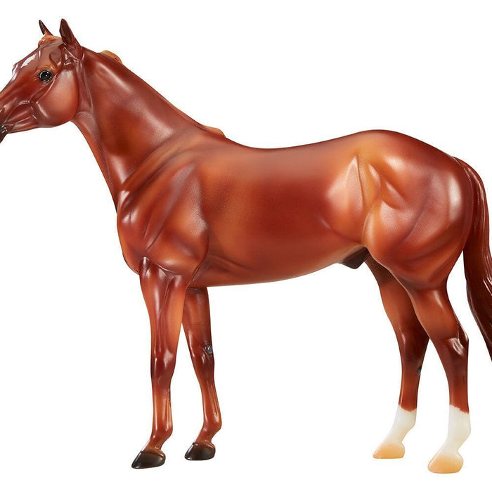 The Ideal Series - American Quarter Horse | Retired