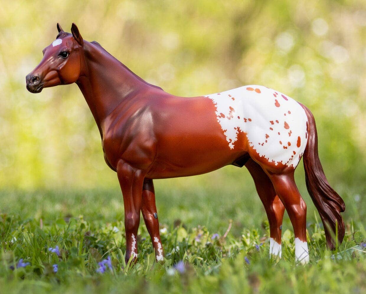 The Ideal Series - Appaloosa | Retired