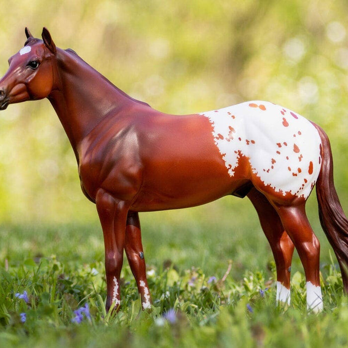 The Ideal Series - Appaloosa | Retired