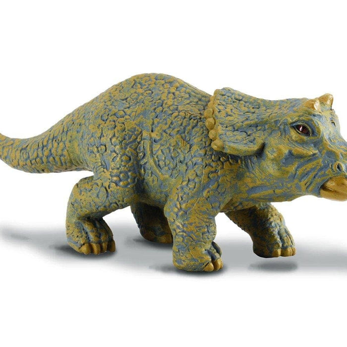 Triceratops Baby | Retired