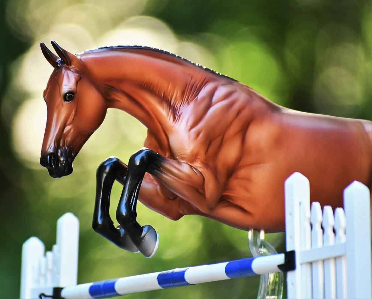 Voyeur Show Jumper | Retired