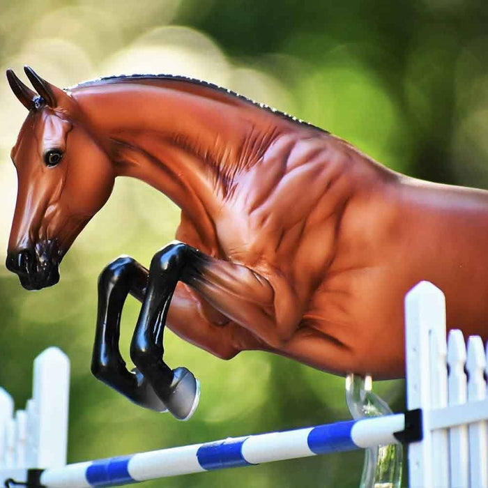 Voyeur Show Jumper | Retired