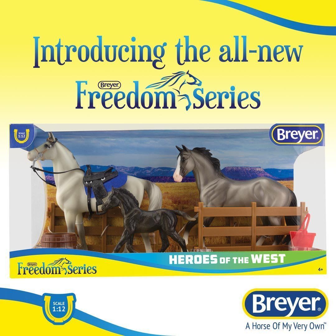 Welcome to Freedom Series!