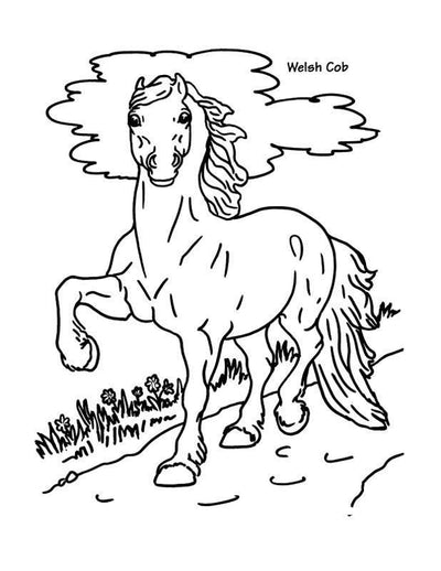 Coloring Pages Page 3 - BreyerHorses.com