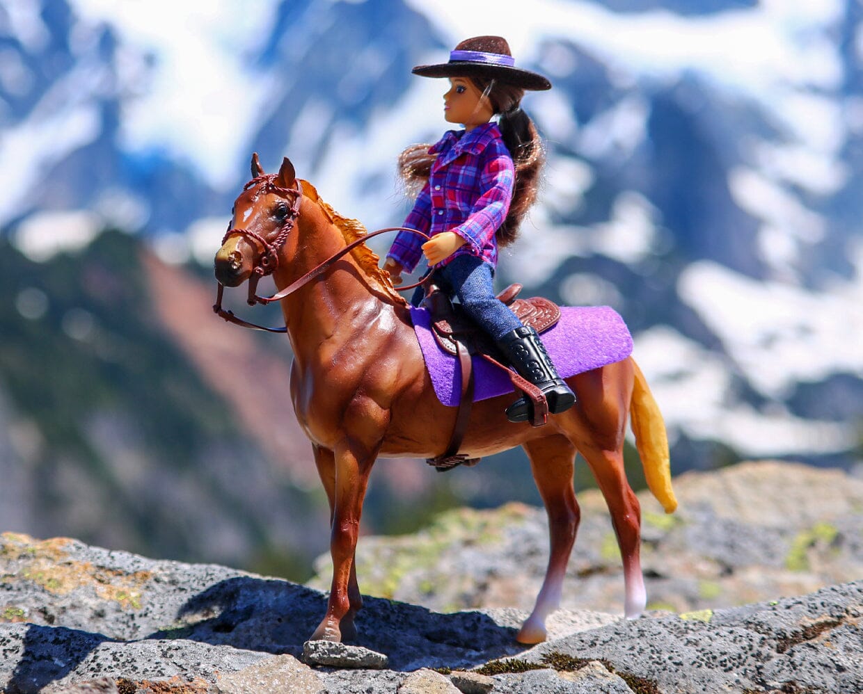 Western Horse and Rider | Retired