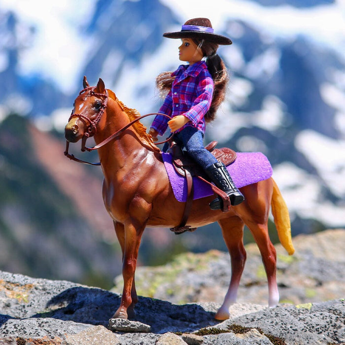 Western Horse and Rider | Retired