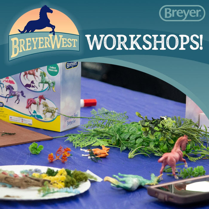 Workshops at BreyerWest!