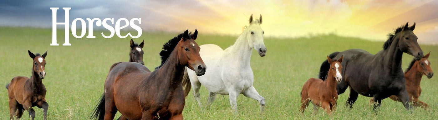 Horses - BreyerHorses.com