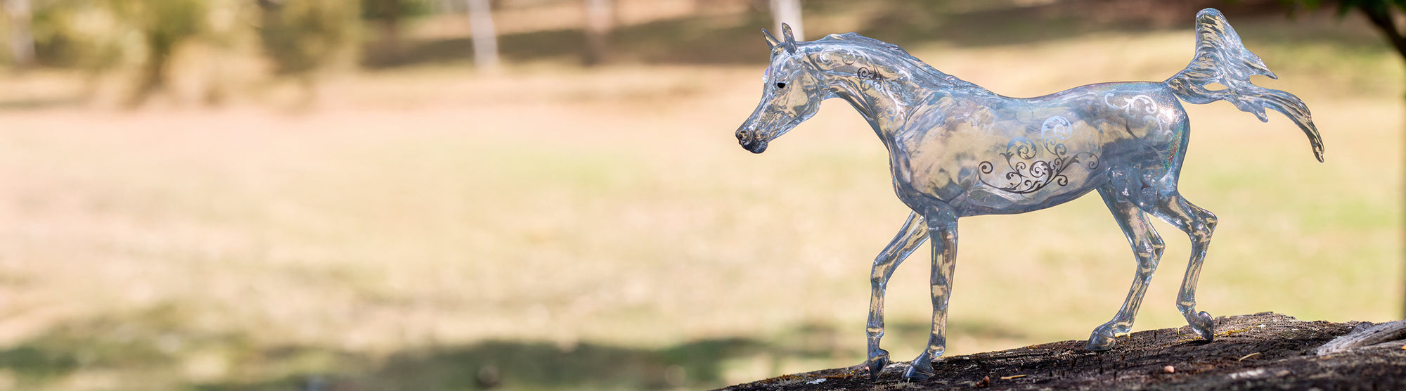 AQHA | 85th Anniversary Best Remuda facing left standinf on a log in an outdoor setting