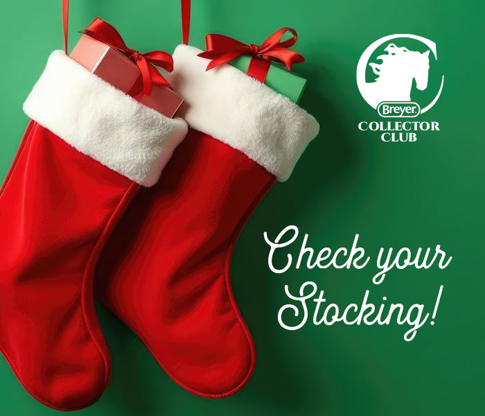 Check Your Stockings - Two red and white stockings on a green background