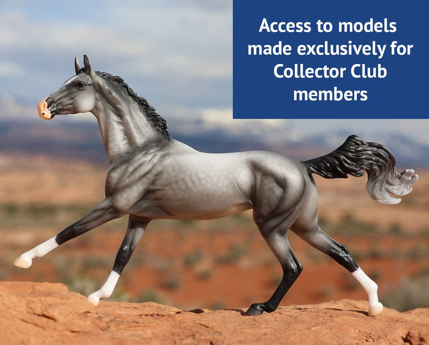 Access to models made exclusively for Collector Club members