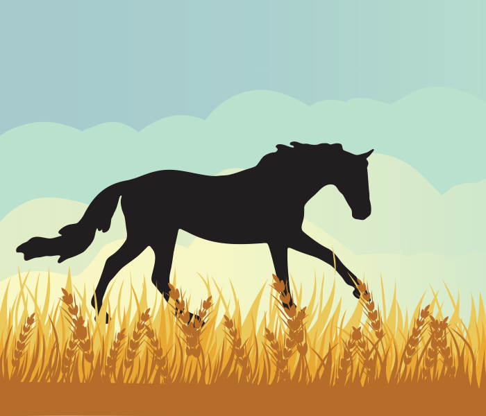 Breyer Midwest Blog Header - silhouette of horse in corn field illustration