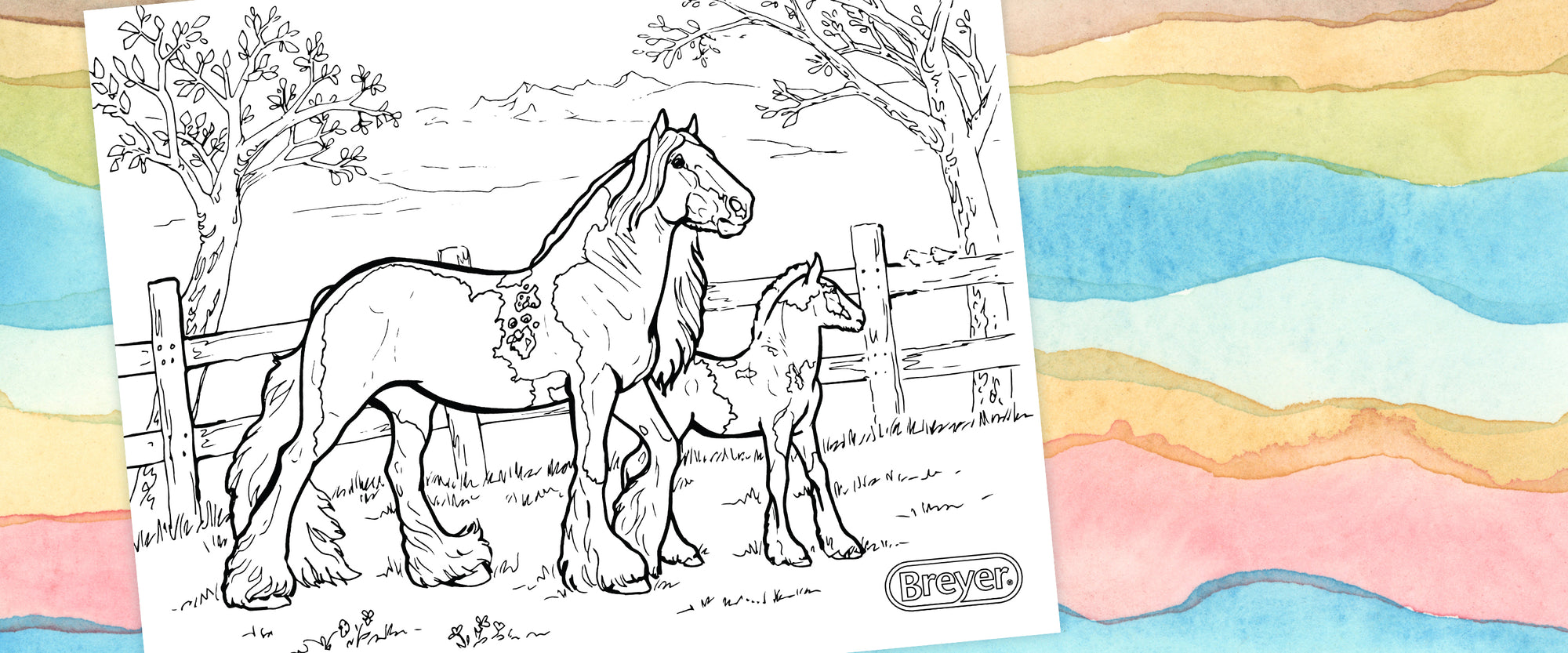 Enter the Mare & Foal Coloring Contest