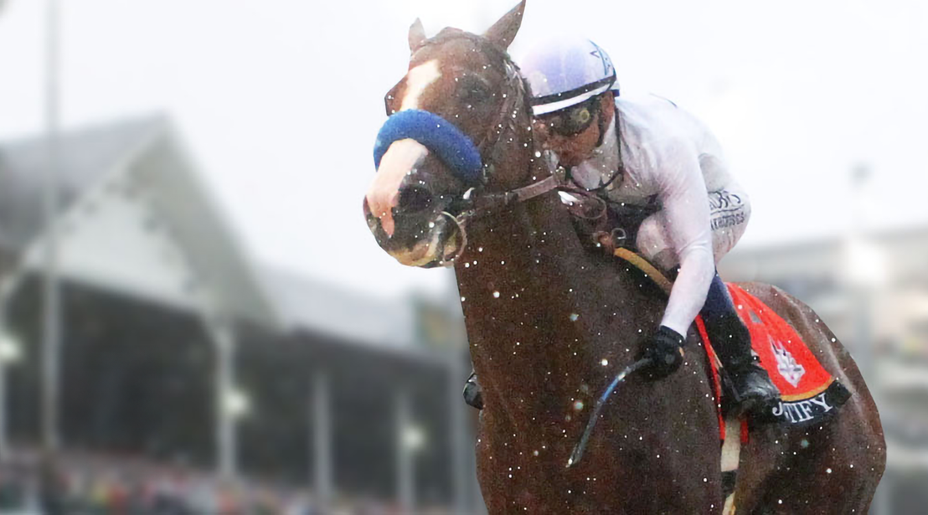 Jockey riding horse on track