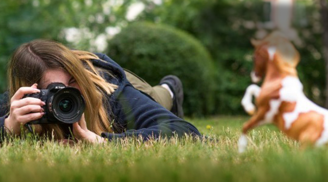 Go to Model Horse Photography - girl laying on grass and photographing model