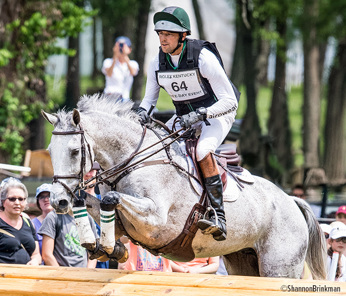 Meet this Year's Portrait Horses - featuring the real life "Tight Lines" jumping over an obstacle.