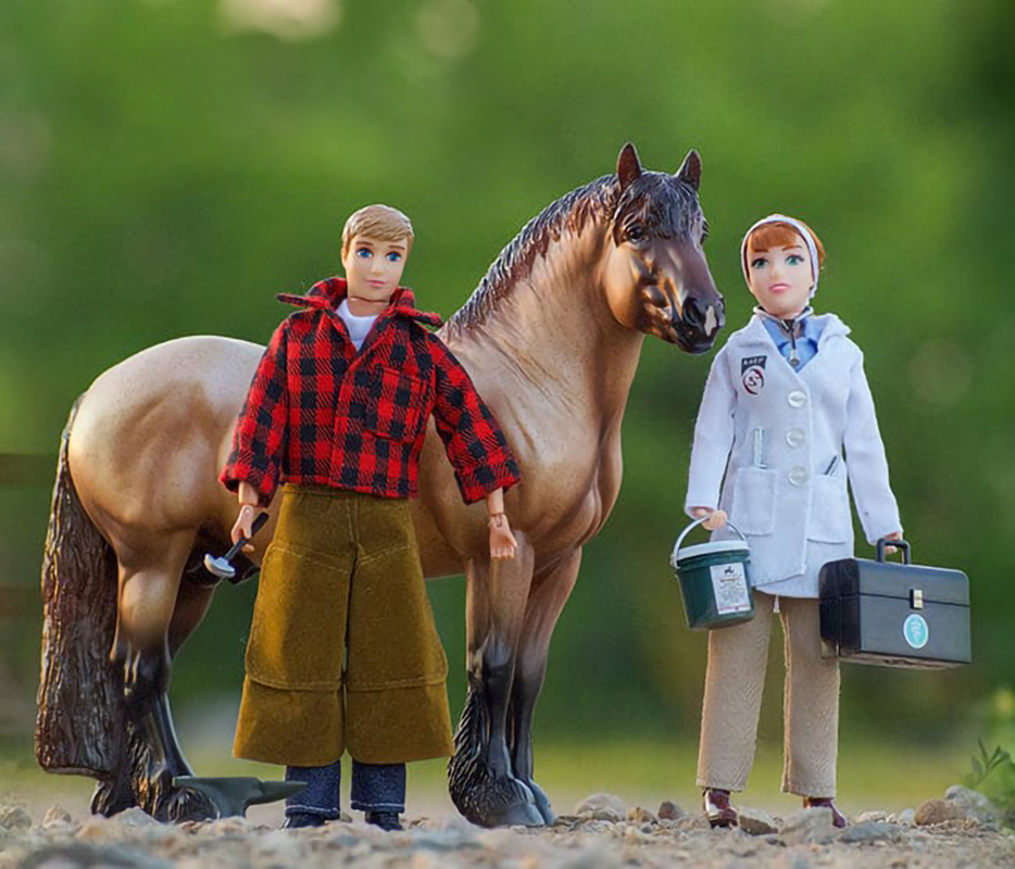 Farrier and Veterinarian with horse and accessories