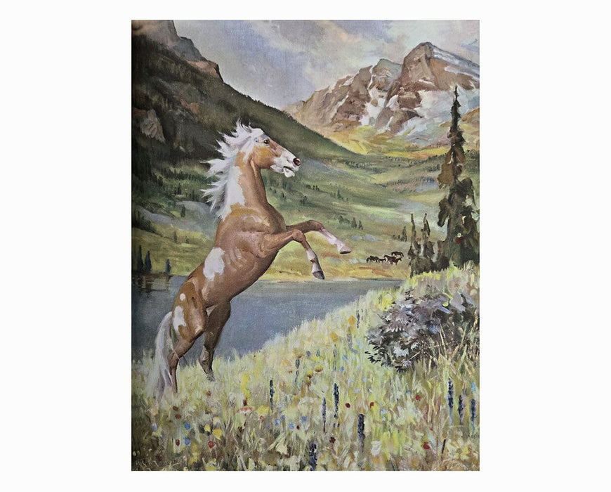 Album of Horses Book - Rearing Horse in the Mountains Painting