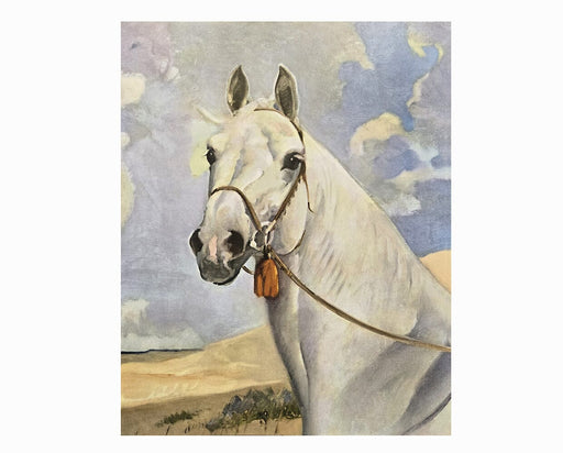 Album of Horses Book - Horse Painting with Bridle