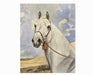 Album of Horses Book - Horse Painting with Bridle