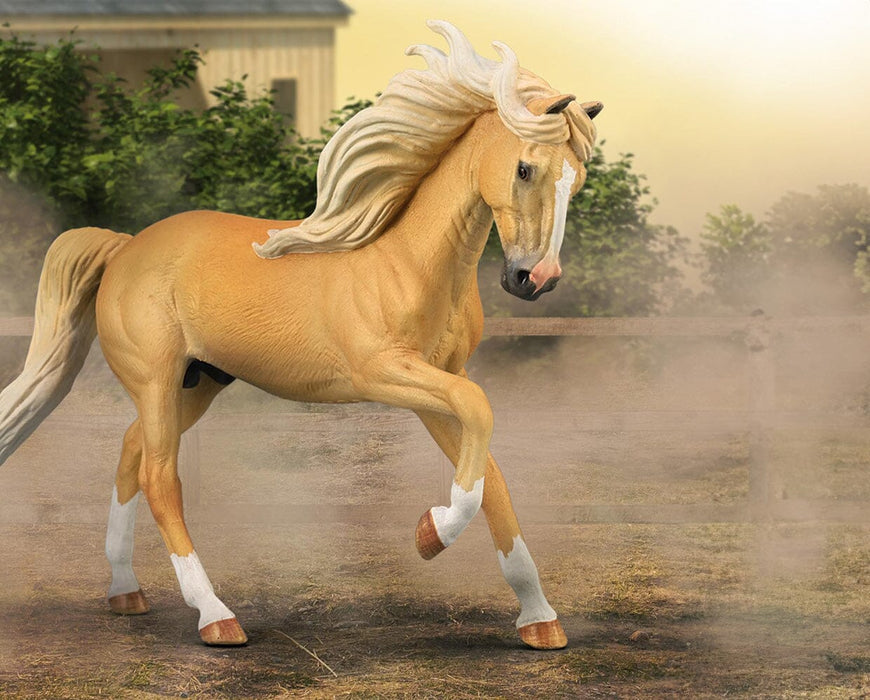 Andalusian Stallion | Palomino by a fence