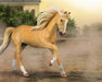 Andalusian Stallion | Palomino by a fence