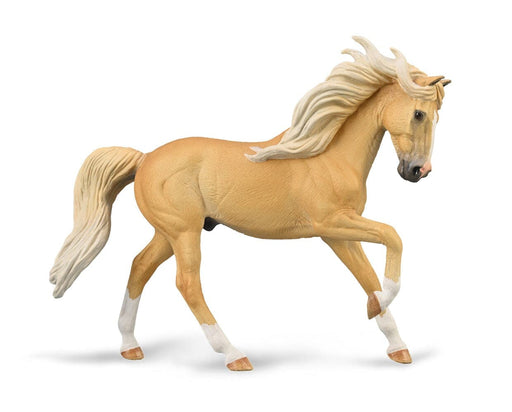 Andalusian Stallion - Palomino