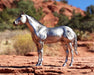 AQHA | 85th Anniversary Best Remuda Model facing left in the desert with the sky and mountain in the background.