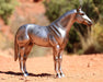 AQHA | 85th Anniversary Best Remuda Model facing right on desert background