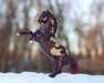 Auryn | Freedom Series Unicorn rearing in snow