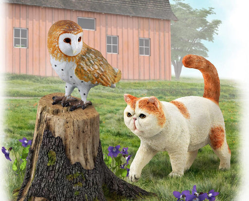 Barn Owl with cat on a farm background