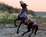 Beowulf | 2024 Halloween Horse on a beach in the evening