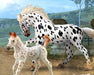 Black Leopard Knabstrupper Mare shwon with Foal