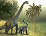 Brachiosaurus shown with baby