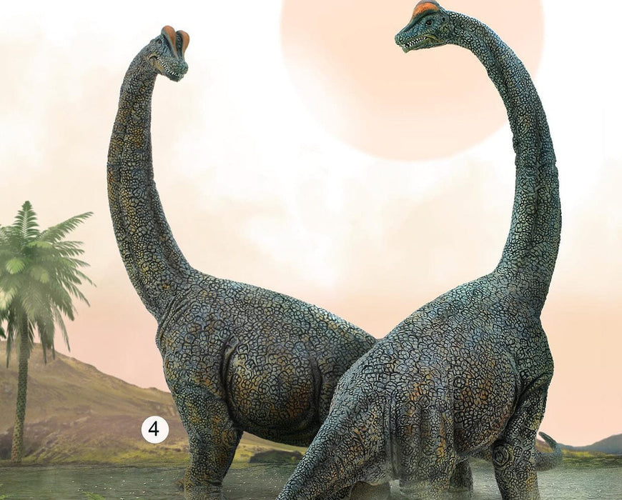 Brachiosaurus | Deluxe 1:40 Scale - both sides shown