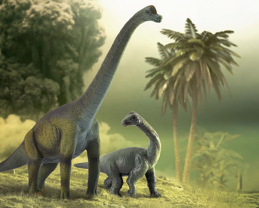 Brachiosaurus shown with baby