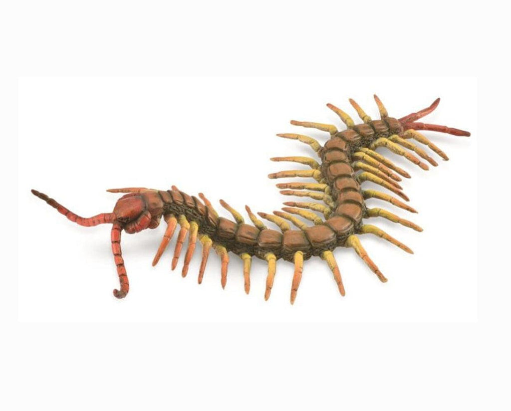 Centipede toy online