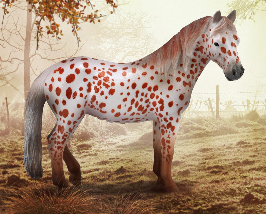 Chestnut Leopard British Spotted Pony Mare on farm background